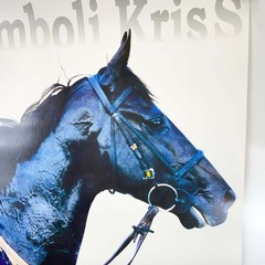 JRA ヒーロー列伝ポスター NO.55 シンボリクリスエス 第126回 天皇賞 秋 G1 漆黒の帝王 岡部幸雄 B3の画像