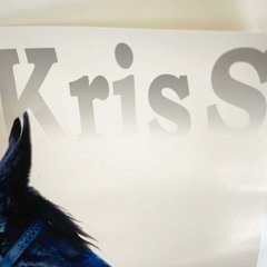 JRA ヒーロー列伝ポスター NO.55 シンボリクリスエス 第126回 天皇賞 秋 G1 漆黒の帝王 岡部幸雄 B3の画像