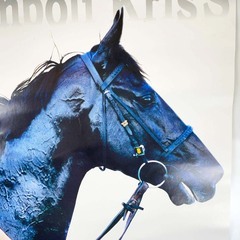 JRA ヒーロー列伝ポスター NO.55 シンボリクリスエス 第126回 天皇賞 秋 G1 漆黒の帝王 岡部幸雄 B3の画像