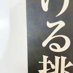 JRA ヒーロー列伝ポスター NO.46 安藤勝己 騎手 ジョッキー 競馬 B3の画像