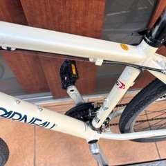 ルイガノCASPER MTBの画像