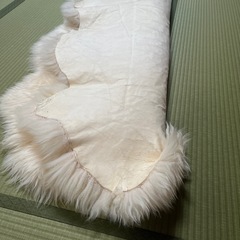 毛皮のマットの画像