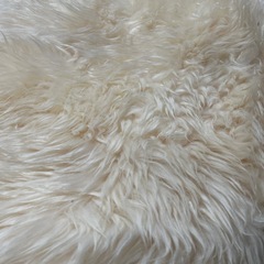 毛皮のマットの画像