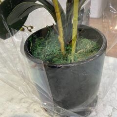 造花 インテリア 🚚自社配送時💳代引き可🚚(現金、クレジット、スマホ決済対応)の画像