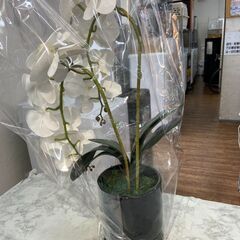 造花 インテリア 🚚自社配送時💳代引き可🚚(現金、クレジット、スマホ決済対応)の画像