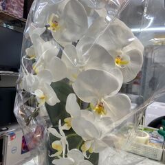 造花 インテリア 🚚自社配送時💳代引き可🚚(現金、クレジット、スマホ決済対応)の画像