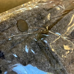 M2511-129 バックインバック フェルト グレー おそらく未使用品の画像