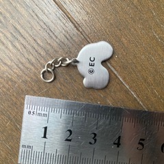 はらぺこあおむし　チャーム　パーツ　キーホルダー　バッグチャーム　デコパーツ　 バッグチャーム シルバー キャラクター　パーツの画像