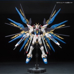 RG ストライクフリーダムガンダムの画像