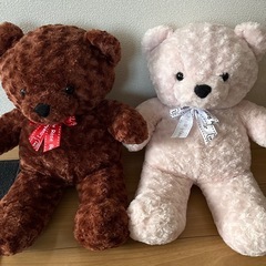 クマのぬいぐるみの画像