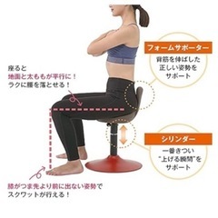 美フォームスクワットチェアの画像