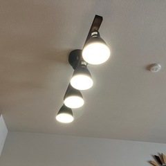 シーリングライト
の画像