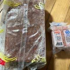 アミエビ 釣りにの画像