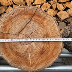 桜の丸太の画像