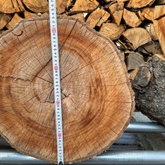 桜の丸太の画像