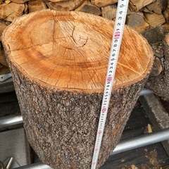 桜の丸太の画像