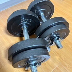 ダンベル 10kg ×2の画像