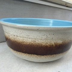 睡蓮鉢+メダカのせっとセットの画像