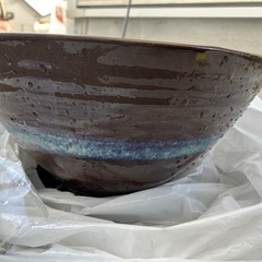 睡蓮鉢+メダカのせっとセットの画像