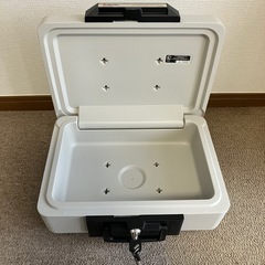 SENTRY セントリー　耐火金庫　保管庫　2460の画像