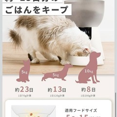 自動給餌器の画像