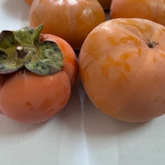 柿 無農薬 約2キロ　10個の画像