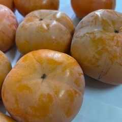 柿 無農薬 約2キロ　10個の画像