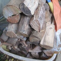 広葉樹、長さ２０ｃｍから１５ｃｍ、太い、マテバシイ、樫、クスのＭＩＸ、薪ストーブ、キャンプ薪の画像