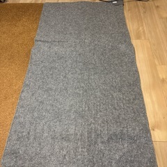 電気カーペット1畳の画像