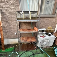 80×40×170 ラック　訳ありの画像