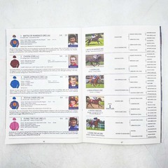 2013 英ダービーS プログラムの画像