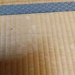 畳　1枚からでもOKの画像