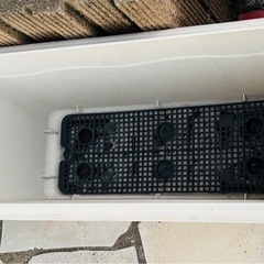 プランター、鉢の画像