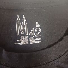 メンズ　Tシャツ　サイズLの画像