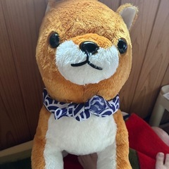 柴犬ぬいぐるみの画像