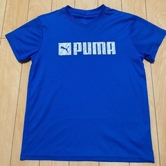 PUMA・champion Tシャツズボン160㎝ 4点【11月末まで】の画像