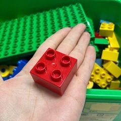 石2511-182 レゴ 楽しいどうぶつえん 中古 揃っているか不明の画像