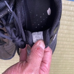 ボウリング　8〜10ポンド？　シューズ付き！ の画像