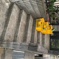 とうがんの画像