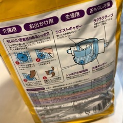 ネオオムツ　犬猫兼用　２２枚　Lサイズの画像