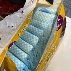 ネオオムツ　犬猫兼用　２２枚　Lサイズの画像