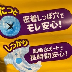 ネオオムツ　犬猫兼用　２２枚　Lサイズの画像