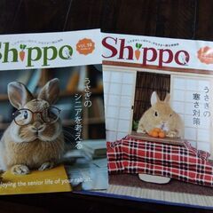 おまけ付チモシー　牧草　ネイチャーブリード約2.5kgの画像