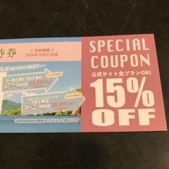 箱根芦ノ湖ラクーンホテル15%優待券の画像