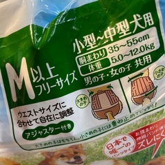犬用オムツ　とおまけ　パンタイプ　22枚　Mいじょ以上の画像