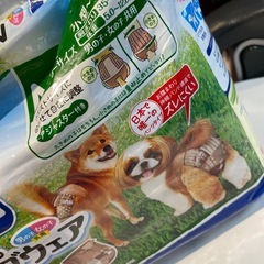 犬用オムツ　とおまけ　パンタイプ　22枚　Mいじょ以上の画像