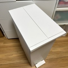 KEYUCA両開きダストボックス LL（42L） ゴミ箱の画像