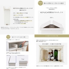 KEYUCA両開きダストボックス LL（42L） ゴミ箱の画像