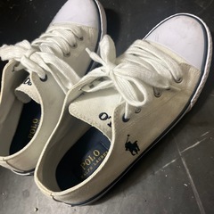 POLOシューズの画像