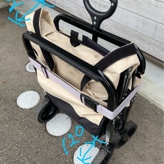 キャリーワゴン（ニトリ製）の画像